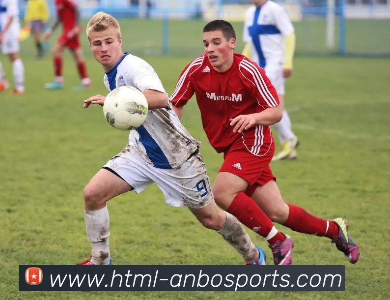 体育下注服务体系