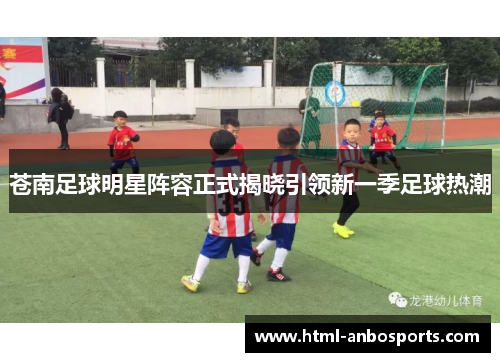 苍南足球明星阵容正式揭晓引领新一季足球热潮