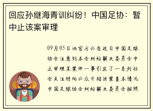 回应孙继海青训纠纷！中国足协：暂中止该案审理
