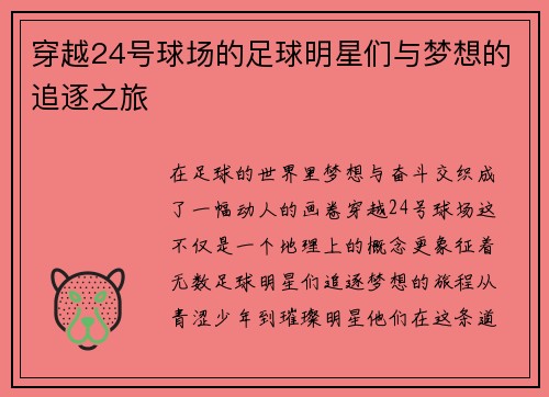 穿越24号球场的足球明星们与梦想的追逐之旅